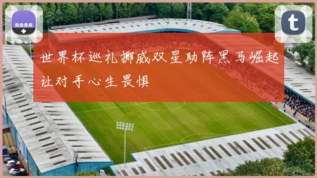 世界杯巡礼挪威双星助阵黑马崛起让对手心生畏惧